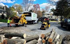  Moxee, WA Tree Services Pros